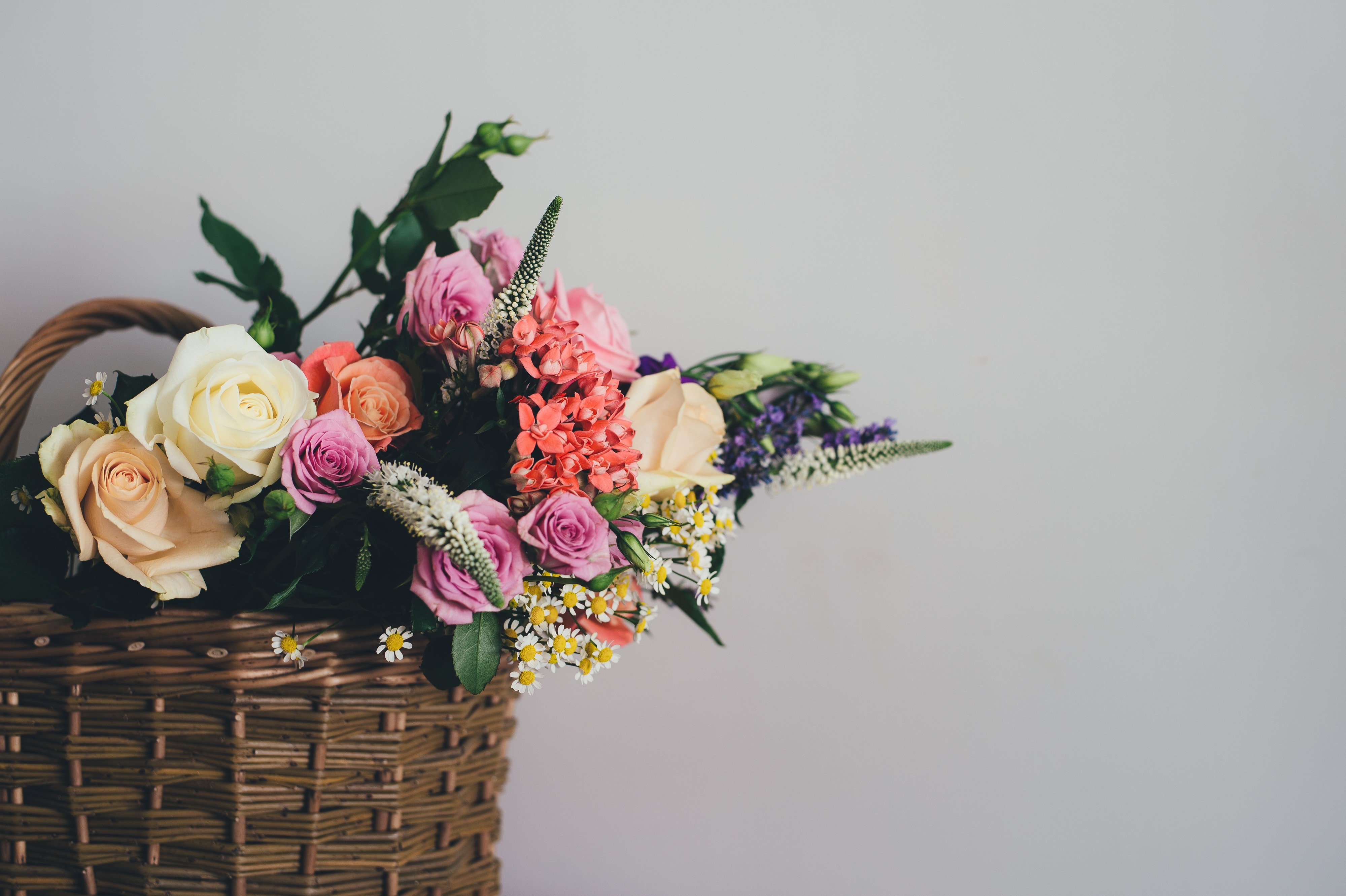 Annie Spratt 113596 Unsplash